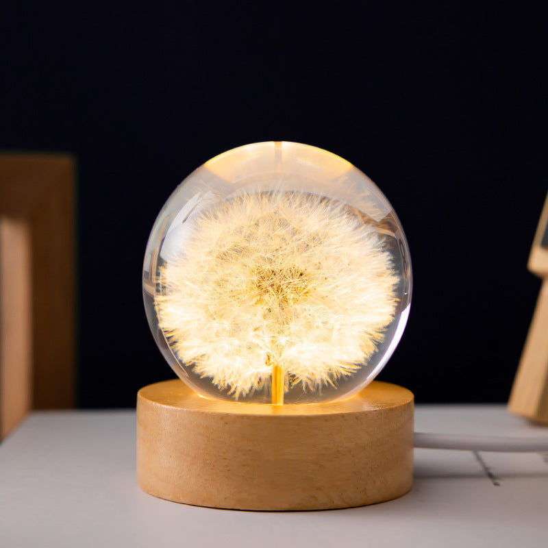 Real Flower Glass Ball Lamp on Wooden Base