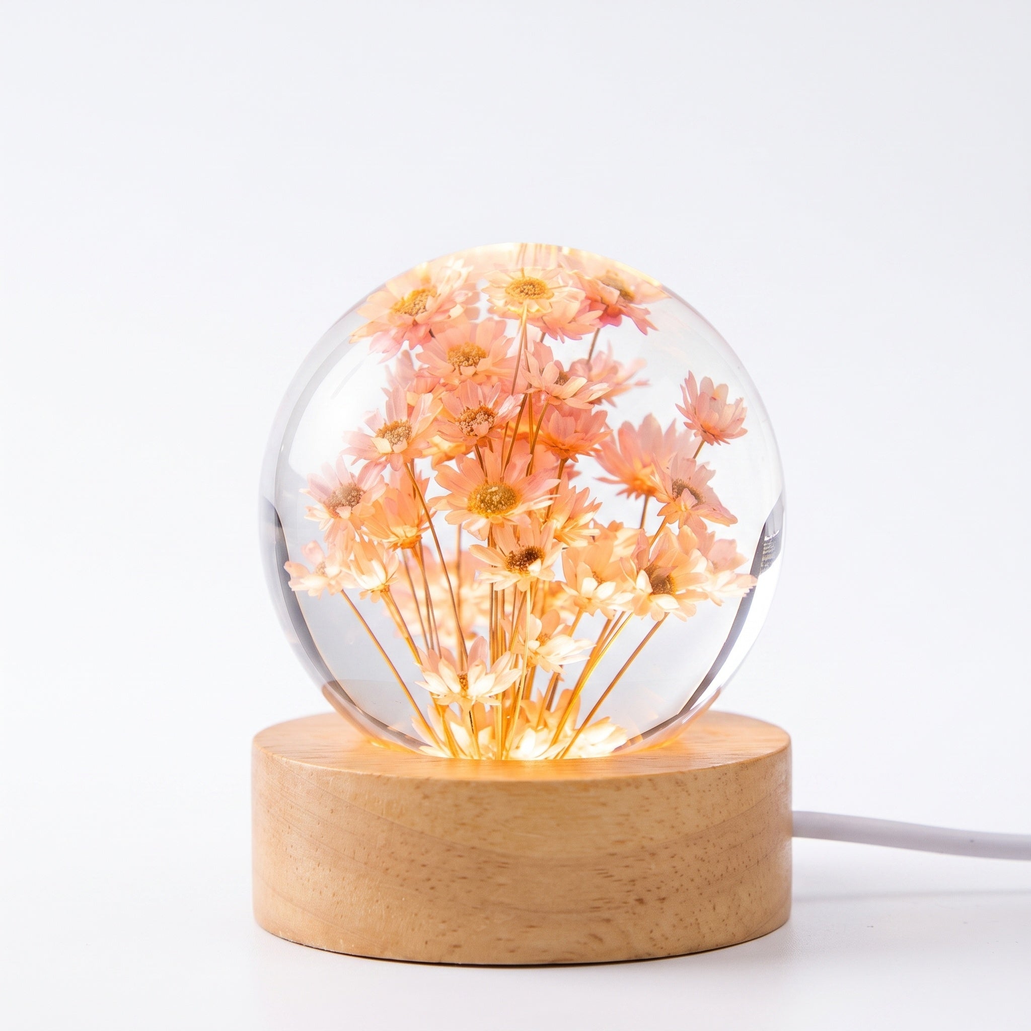 Real Flower Crystal Ball Lamp on Wooden Base