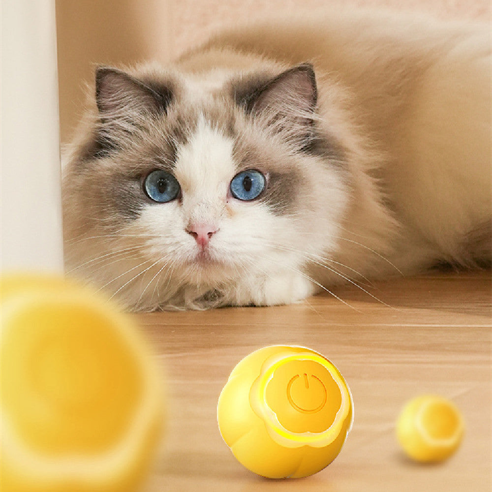 Self-Rolling Cat Ball That Keeps Play Going